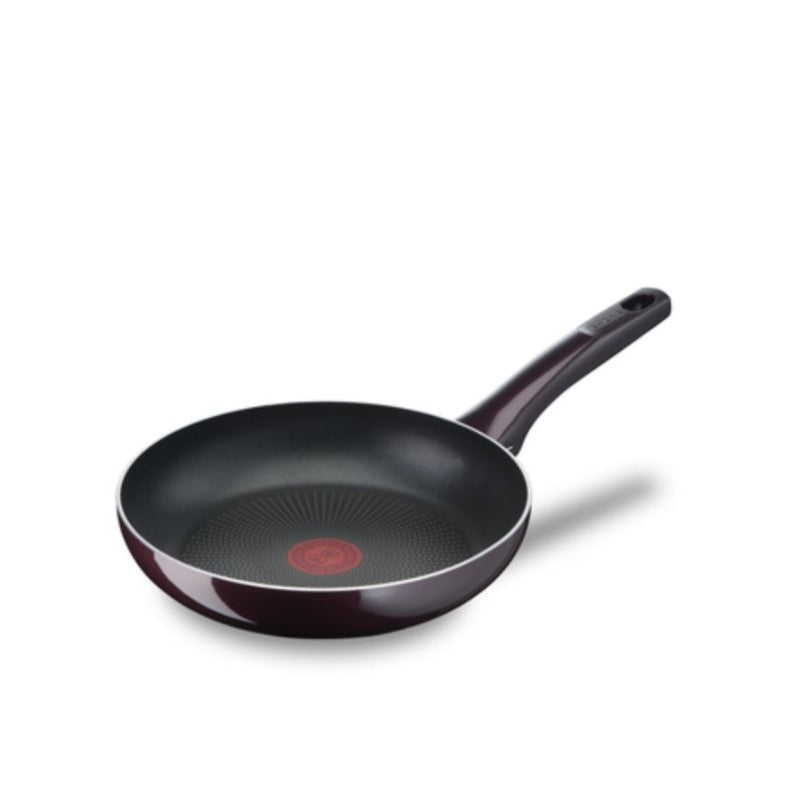 Tefal Resist Intense Frypan 20 cm
