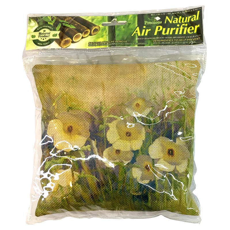 Precious Natural Air Purifier