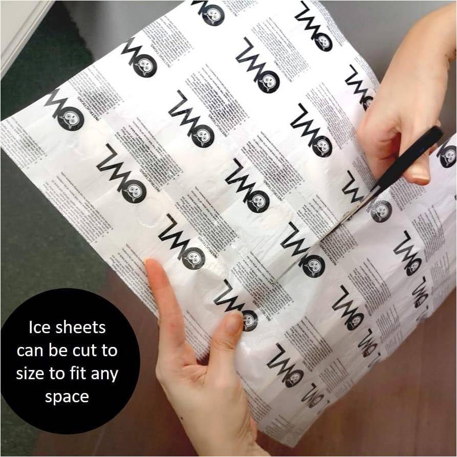 Owl Baby Travel Ice Packs / Flexible Ice Sheets