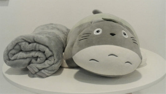 2 in 1 Character Stuffed Toy / Blanket